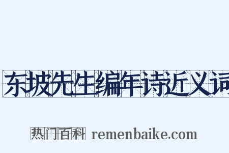 东坡先生编年诗近义词是什么意思的图片